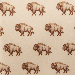 Bison
