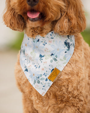 Eva Dog Bandana by Remy+Roo