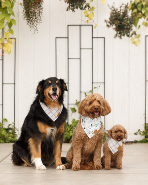 Eva Dog Bandana by Remy+Roo