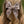 Briar Rose - Darling Hair Bow