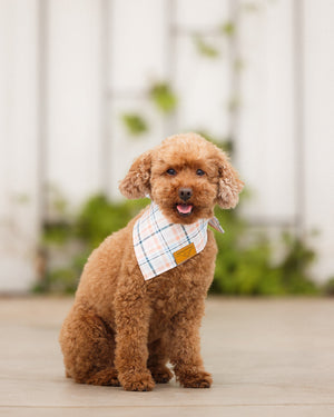 Larry Dog Bandana by Remy+Roo