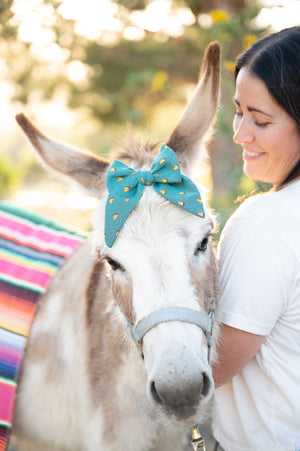 Taco supreme darling bow
