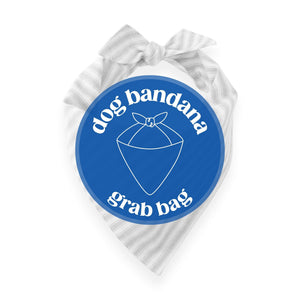 Dog Bandana Grab Bag
