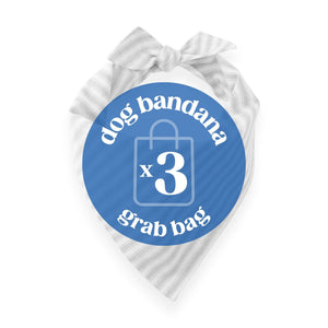 Dog Bandana Grab Bag