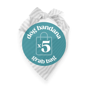 Dog Bandana Grab Bag