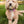 Foyer Floral - Dog Collar Bow Ties & Bows