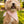 Peony Stripe - Dog Bandana