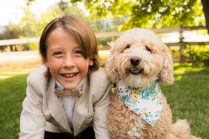 Versailles Floral & Azure Stripe 2-in-1 - Dog Bandana