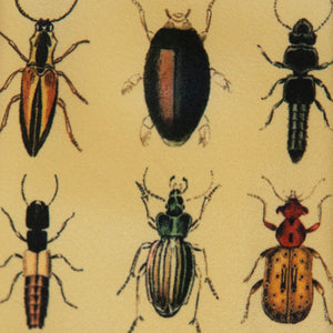 Bug Collection Men's Tie