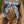 Camo - Lady Hair Bow