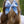 Cape Cod Floral - Darling Hair Bow