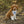 Cape Cod Floral & Robin Egg Stripe 2-in-1 - Dog Bandana