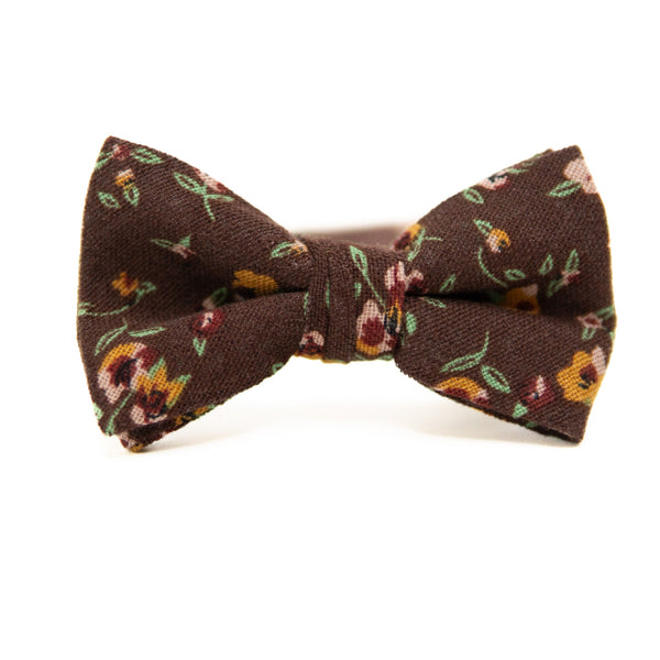 Chocolate Fields Bow Tie for Boys