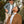 Cypress Meadow  - Boys Bow Tie
