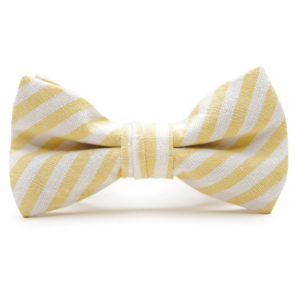 Daffodil Stripe - Bow Tie for Boys