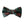 Dashing Floral - Boys Bow Tie