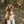 Foyer Floral - Dog Collar Bow Ties & Bows