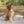 Foyer Floral - Dog Collar Bow Ties & Bows