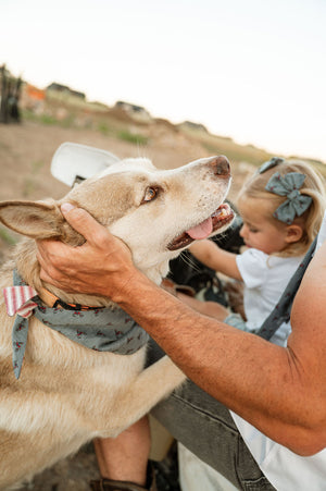 Full Throttle - Dog Bandana