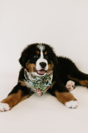 Gran's House - Dog Bandana