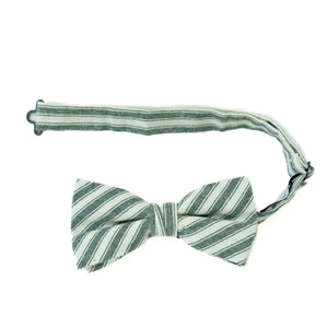 Juniper Stripe Men's Pre-tied Bow Tie Bow Tie - Pre-tied (12yrs-adults)