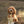 Men in Black - Dog Collar Bow Ties & Bows