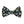 Midnight Floral Boys Bow Tie Bow Tie - Boys (2yrs-12yrs)