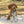 Mulberry Plaid & Orchard Floral 2-in-1 - Dog Bandana