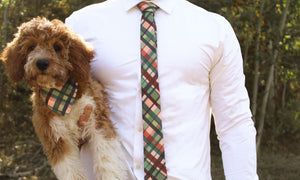 Mulberry Plaid & Orchard Floral 2-in-1 - Dog Bandana