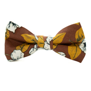 Pippen Boys Bow Tie Bow Tie - Boys (2yrs-12yrs)