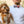Plymouth - Dog Collar Bow Ties & Bows