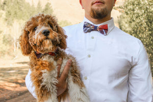 Plymouth - Dog Collar Bow Ties & Bows