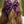 Sangria Floral - Darling Hair Bow