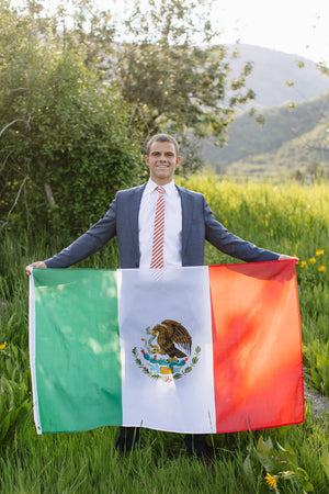 Scarlet Stripe Men's Tie