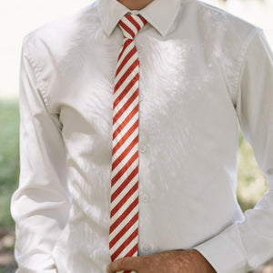 Scarlet Stripe Men's Tie Mens Modern - 2.5" wide x 58" long