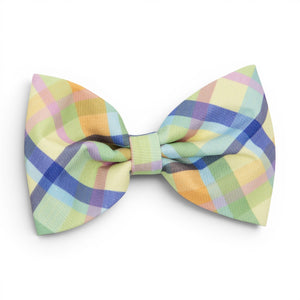 Spring Weave - Dog Collar Bow Ties & Bows