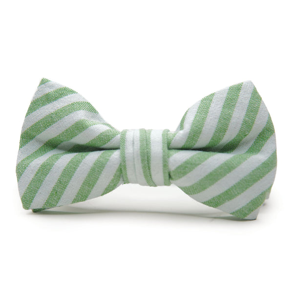 Sprout Stripe - Bow Tie for Boys