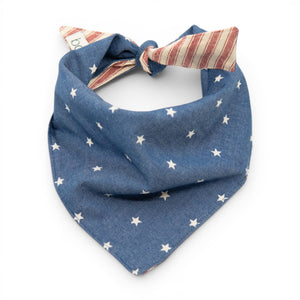 Star Spangler - Dog Bandana