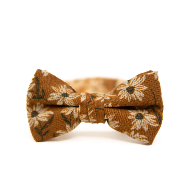 Summit Bow Tie for Boys