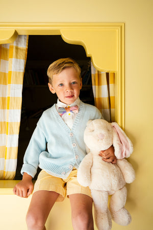 Whimsy Plaid - Boys Bow Tie
