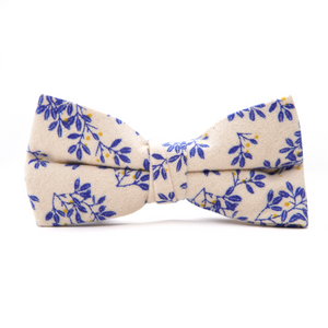 St. Augustine Men's Pre-tied Bow Tie